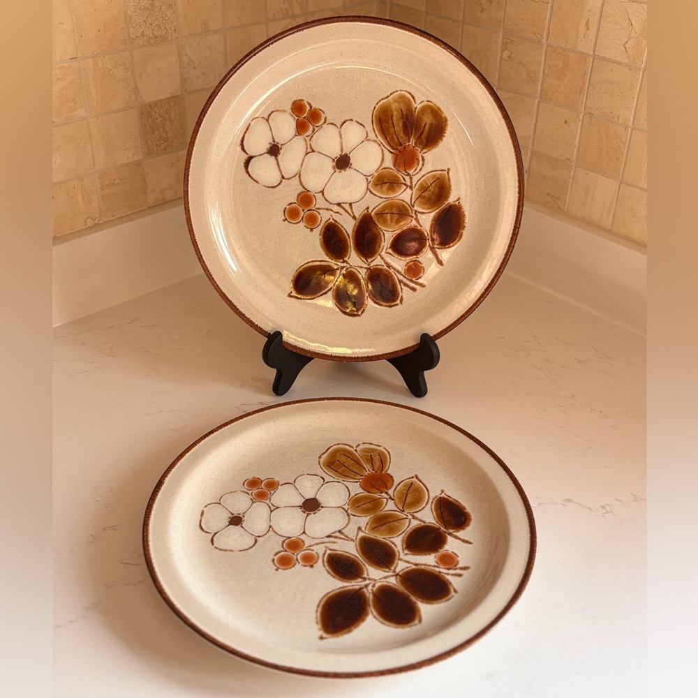 Sunmarc Image Carmel Stoneware Vintage 70’s
Dinner Plates